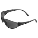 Shop MSA Arctic Elite Eyewear Now