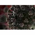 Shop MSA Products Meeting CDC Guidance for COVID 19 Now