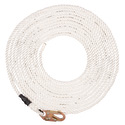 Shop MSA Rope Grabs & Vertical Lifelines Now
