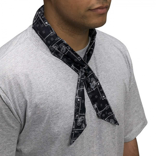 Allegro Industries 8405-51, Cool-Offs, Cowboy Bandana Blue