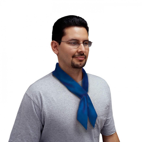 Allegro Industries 8405-53, Cool-Offs, Royal Blue