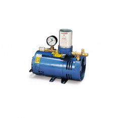 Allegro Industries 9806, A-300 Ambient Air Pump