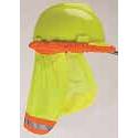 Shop MSA SunShade Now