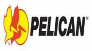 PELICAN
