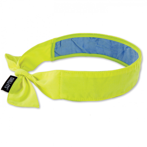 Ergodyne 12566, Chill-Its 6700CT Cooling Bandana, 12566