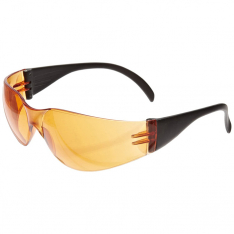 SAS Safety Corp. 5342, NSX Safety Glasses, 5342
