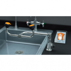 Guardian Equipment G1806, Eyewash, Deck Mounted, G1806