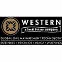WESTERN ENTERPRISES D-34 WE D-34 BUSHING