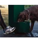 Shop Outdoor Drinking Fountains By Haws Corporation Now
