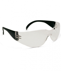 PIP 250-01-0020, Z12, CLR AF LENS, BLK TMPLS, RELAXED BRIDGE, FLEXIBLE TMPLS