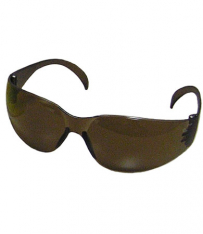PIP 250-01-5504, Z12, BRN AS LENS, BRN TMPLS, , RELAXED BRIDGE, FLEXIBLE TMPLS