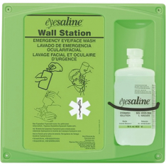 PIP 32-000460-0000-H5, Fendall, 16 OZ Single Eyewash Wall Station