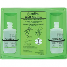 PIP 32-000462-0000-H5, Fendall, 32 OZ Double Eyewash Wall Station